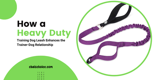 Building Bonds: How a Heavy Duty Training Dog Leash Enhances the Trainer-Dog Relationship