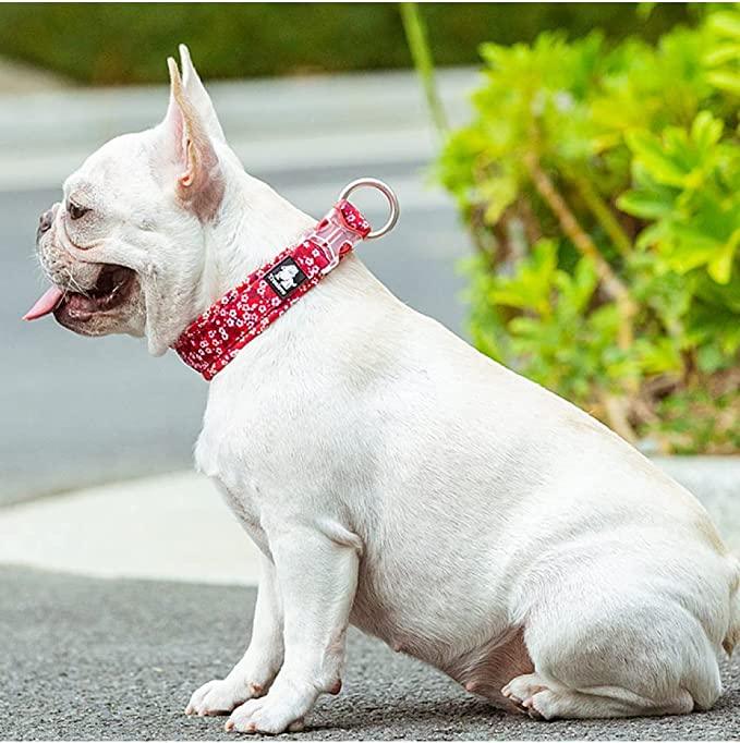 Chai's Choice - Premium Dog Collar Floral