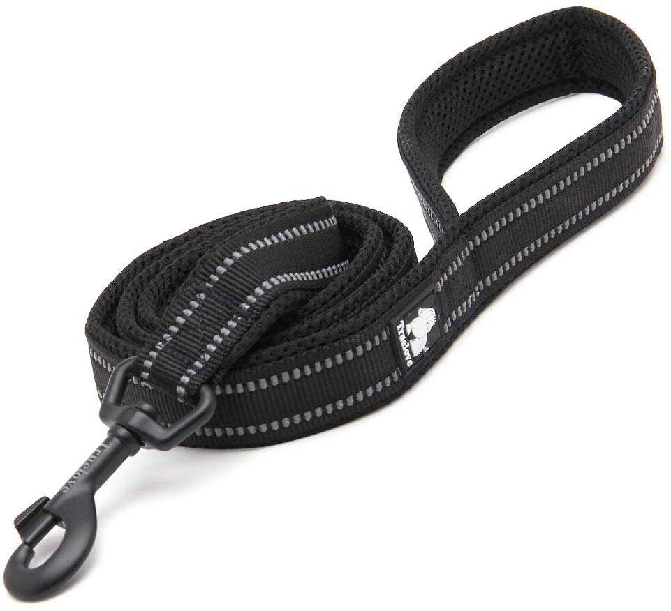 Chai's Choice Padded 3M Reflective Outdoor Adventure Dog Leash - Chai's Choice