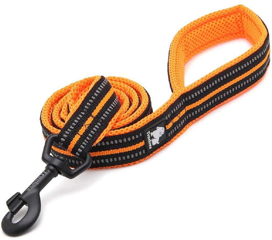 Chai's Choice Padded 3M Reflective Outdoor Adventure Dog Leash - Chai's Choice