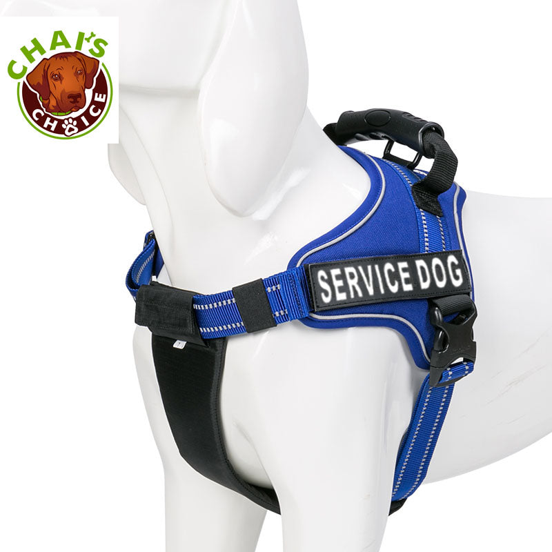 Royal-Blue-Service-Dog-Vest-Harness 2
