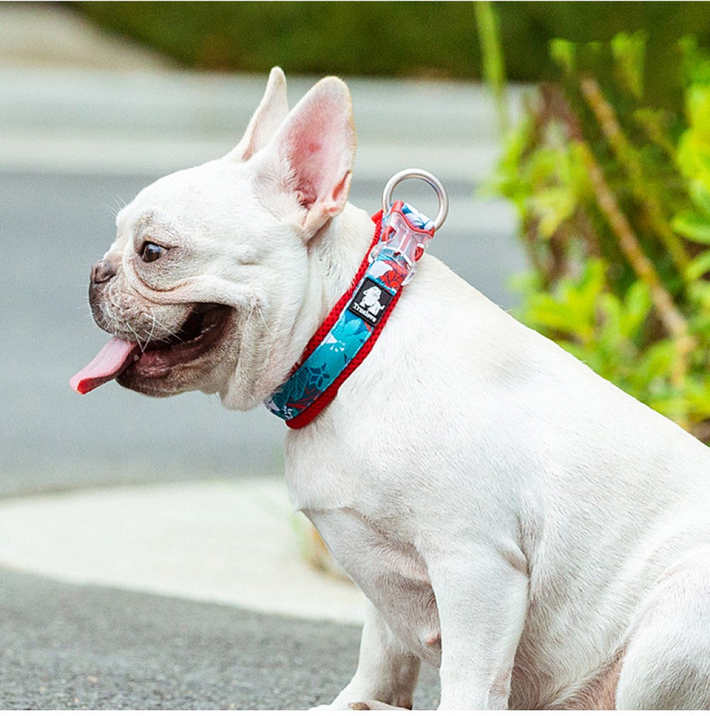 Chai's Choice - Premium Dog Collar Tropic