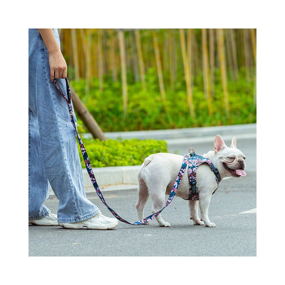 Chai's Choice Floral Leashes