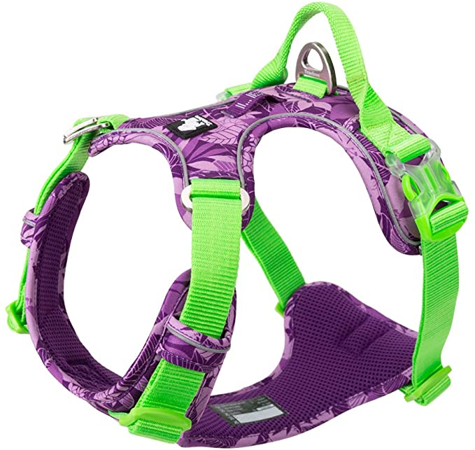 Chai's Choice Best Tropic Thunder Edition Dog Harness with Quick-Release Neck Strap for Easy On-Off - Chai's Choice