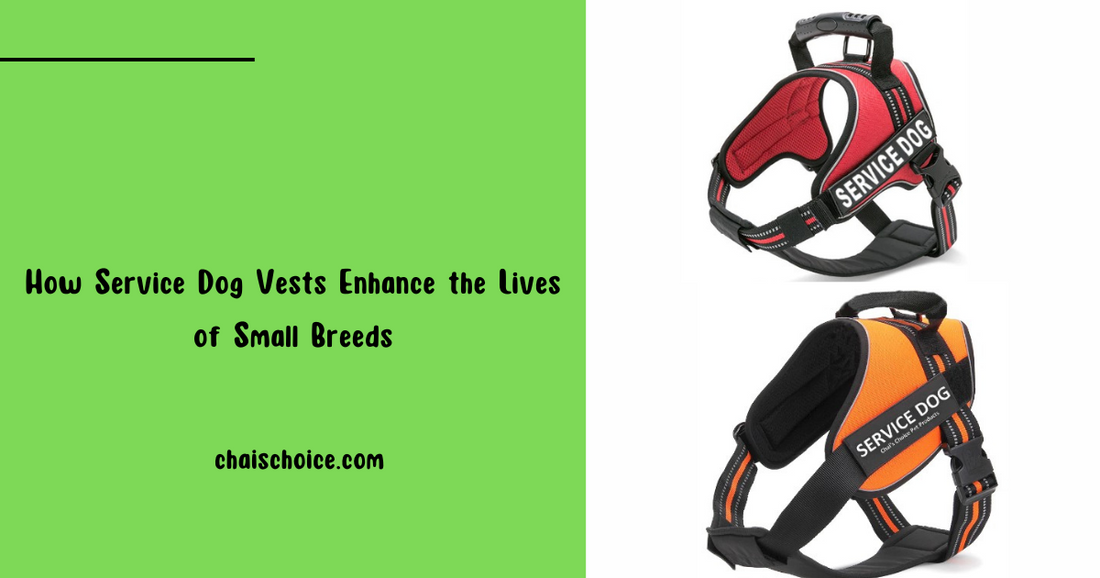 Beyond the Vest: How Service Dog Vests Enhance the Lives of Small Breeds
