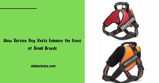 Beyond the Vest: How Service Dog Vests Enhance the Lives of Small Breeds