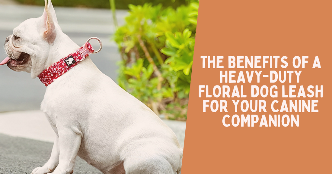 The Benefits of a Heavy-Duty Floral Dog Leash for Your Canine Companion