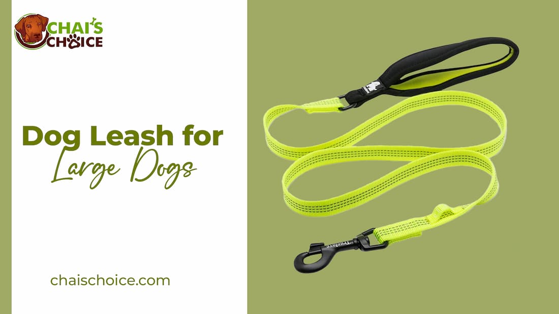 Using Leashes for Large Dogs with Strong Pulling Tendencies