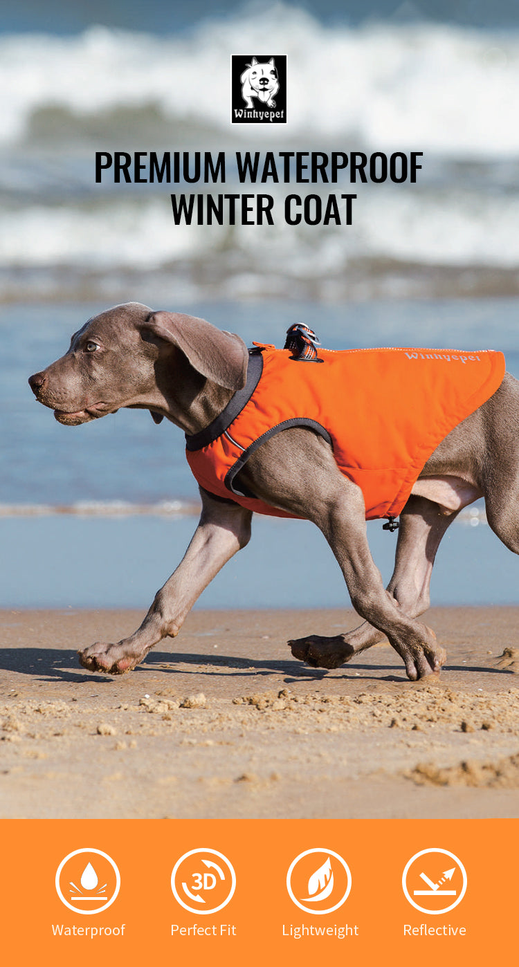 High Performance Foul Weather Jacket Vest - Raincoat Harness Combination