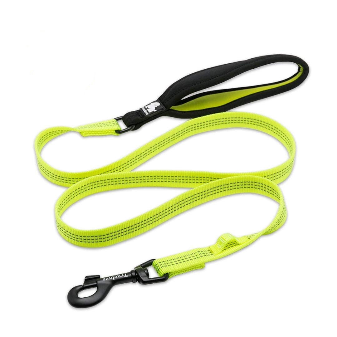 Outdoor Explorer Dog Leash — 3M Reflective, Padded Handle