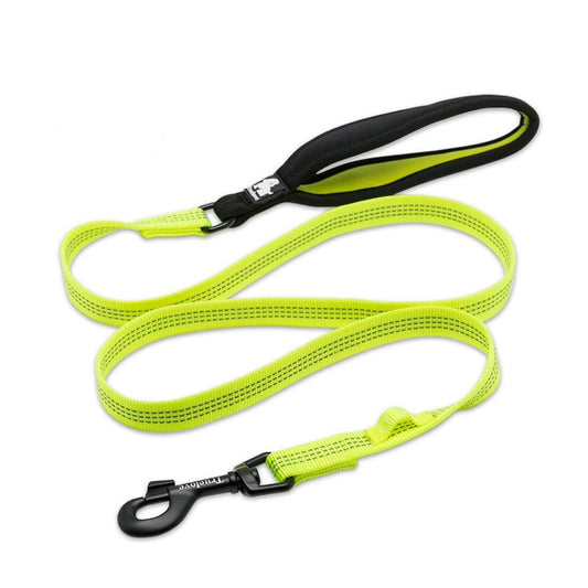Outdoor Explorer Dog Leash — 3M Reflective, Padded Handle