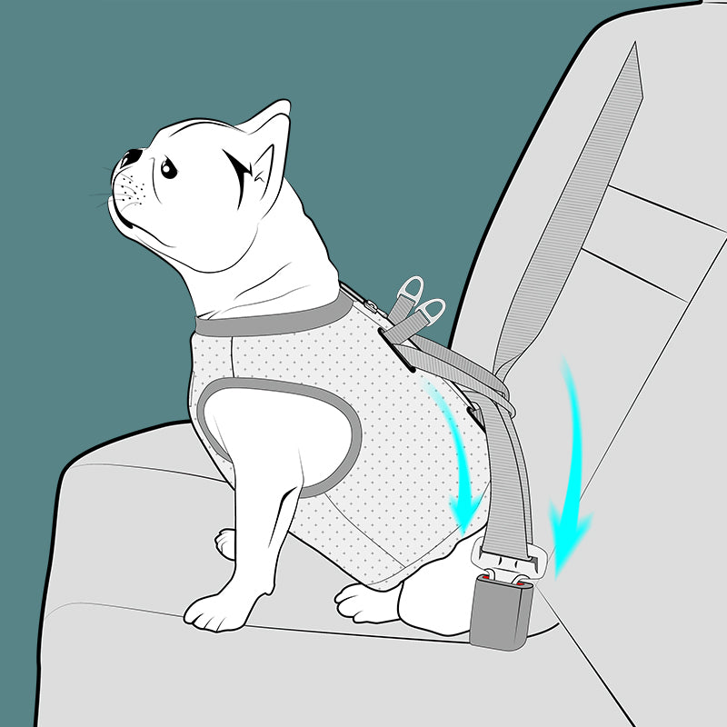 CHAI'S CHOICE VEHICLE SAFETY DOG HARNESS (CRASH TESTED)