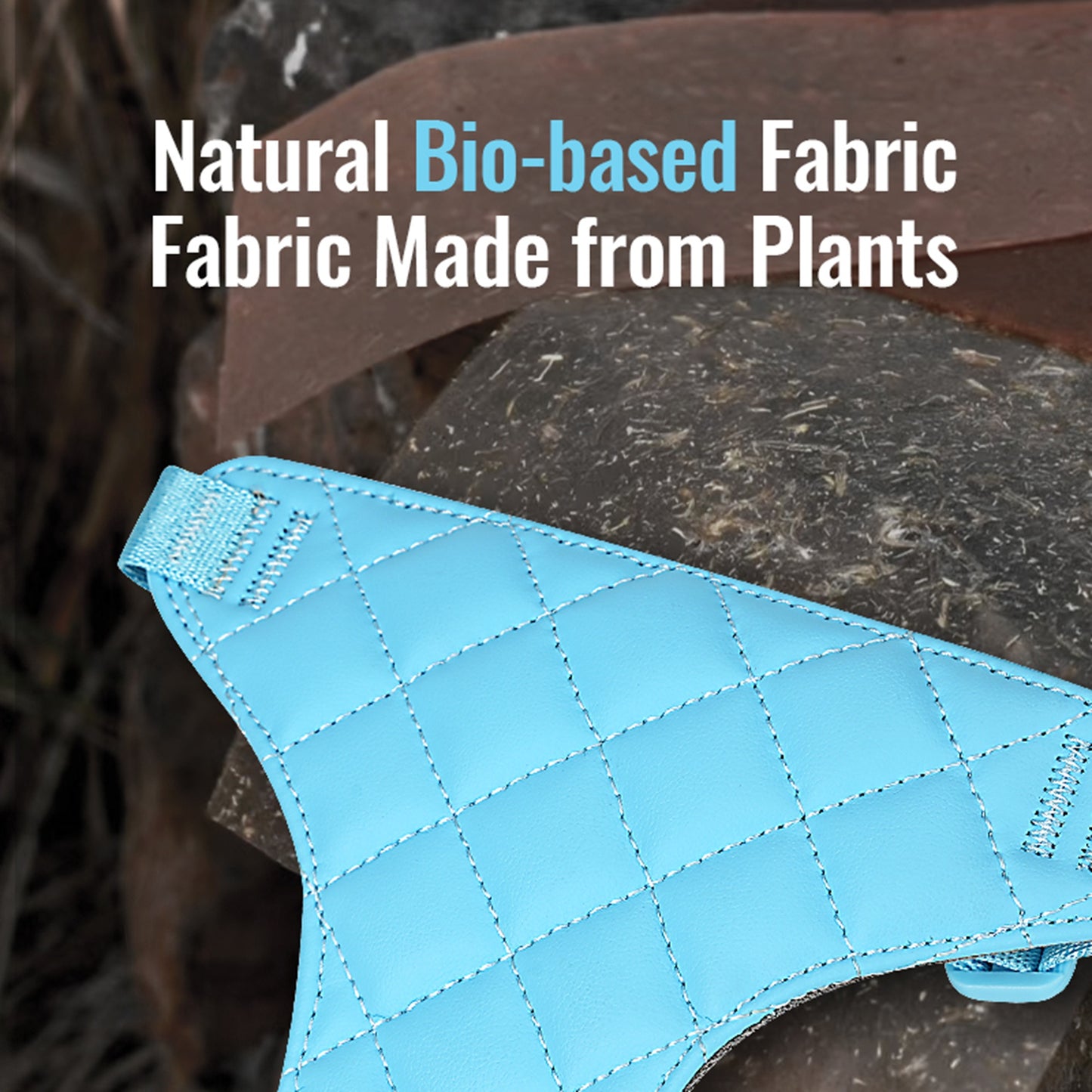 Chai's Choice Stylish Eco-Friendly Harness Set
