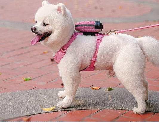 Chai's Choice Stylish Eco-Friendly Harness Set