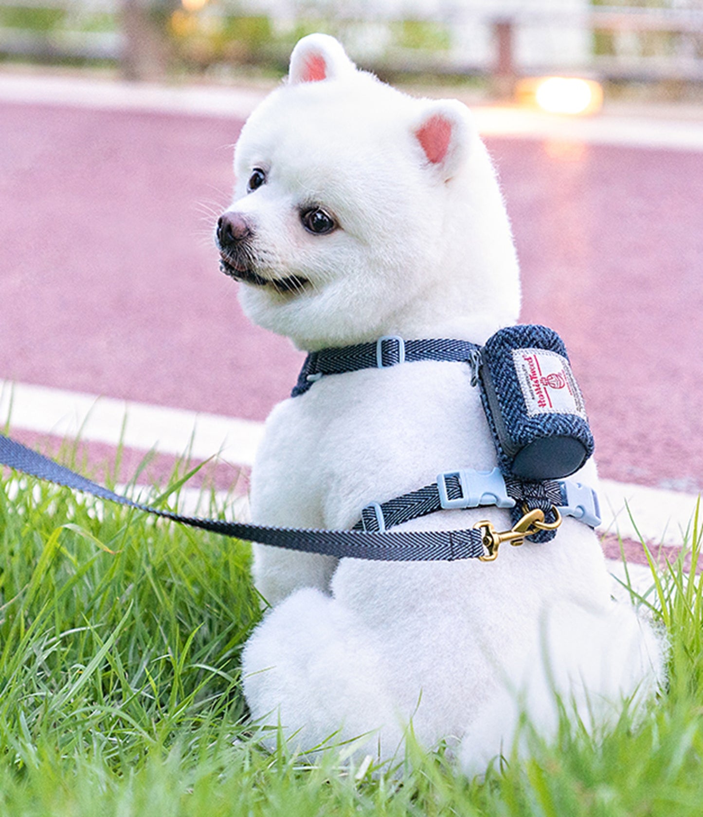 Harris Tweed Harness, Leash, & Poop Bag Dispenser Combo