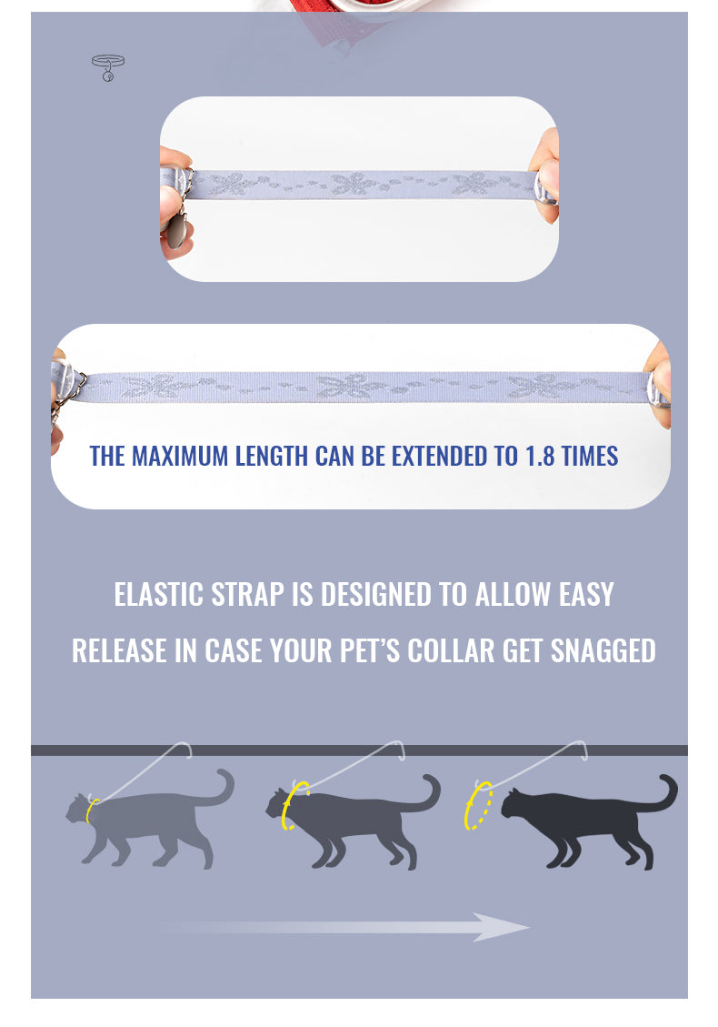 CHAI'S CHOICE COMFORT FIT LIGHTWEIGHT CAT SAFETY COLLAR