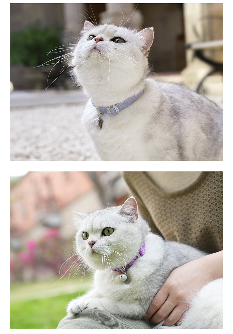 CHAI'S CHOICE COMFORT FIT LIGHTWEIGHT CAT SAFETY COLLAR