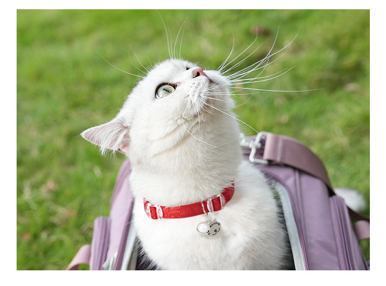 CHAI'S CHOICE COMFORT FIT LIGHTWEIGHT CAT SAFETY COLLAR