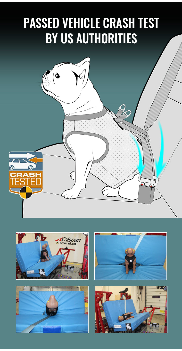 CHAI'S CHOICE VEHICLE SAFETY DOG HARNESS (CRASH TESTED)