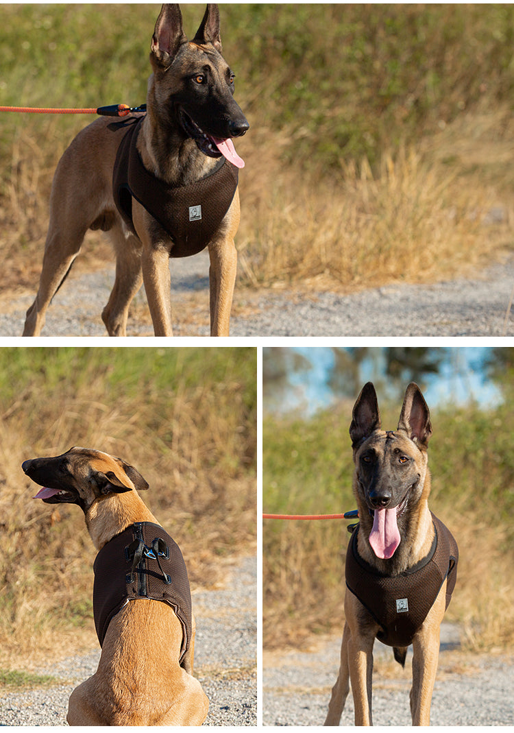 CHAI'S CHOICE VEHICLE SAFETY DOG HARNESS (CRASH TESTED)
