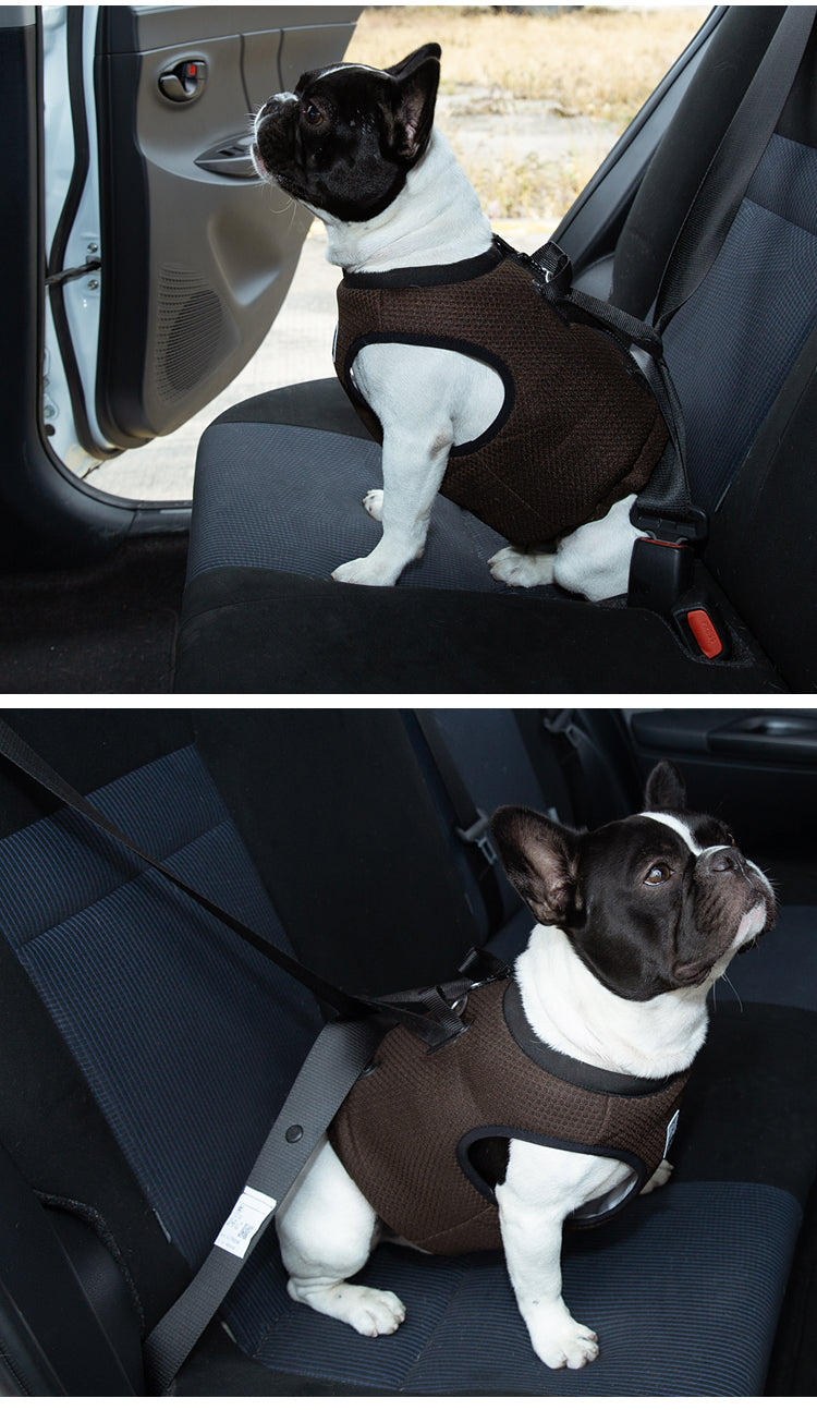 CHAI'S CHOICE VEHICLE SAFETY DOG HARNESS (CRASH TESTED)