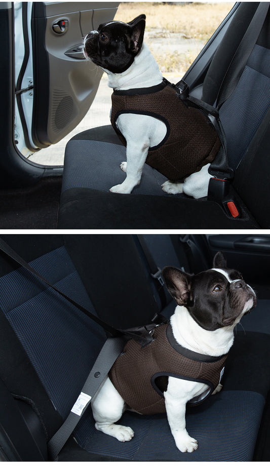 CHAI'S CHOICE VEHICLE SAFETY DOG HARNESS (CRASH TESTED)