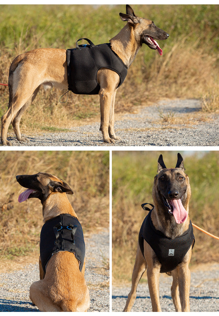 CHAI'S CHOICE VEHICLE SAFETY DOG HARNESS (CRASH TESTED)