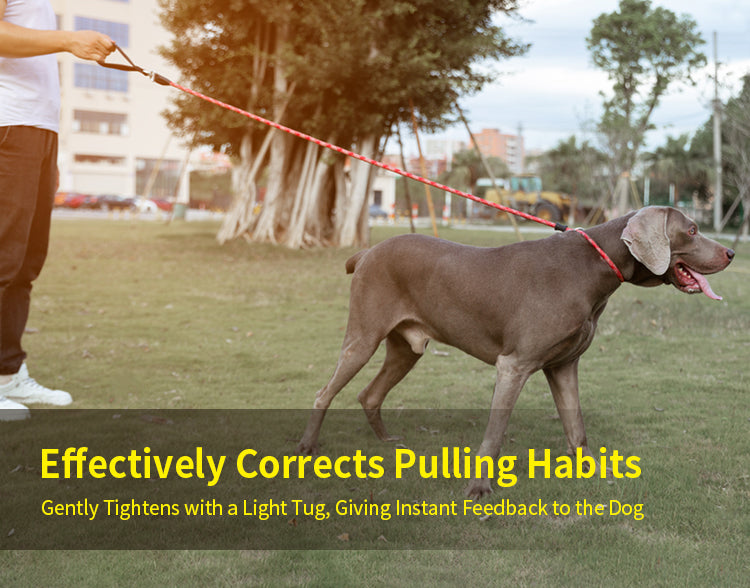 Chai's Choice Training Rope Dog Slip Leash