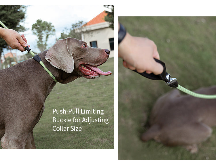 Chai's Choice Training Rope Dog Slip Leash