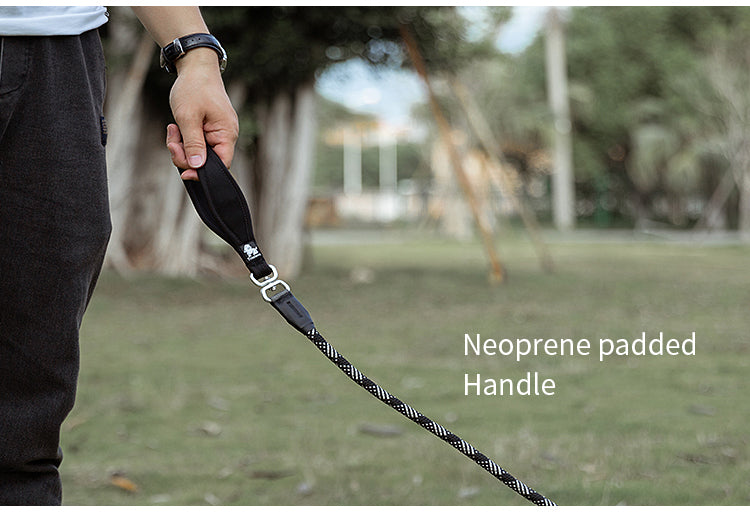 Chai's Choice Training Rope Dog Slip Leash