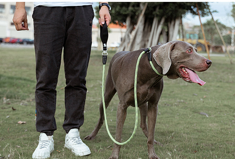 Chai's Choice Training Rope Dog Slip Leash