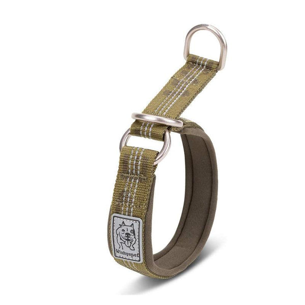 Leather half choke outlet dog collar