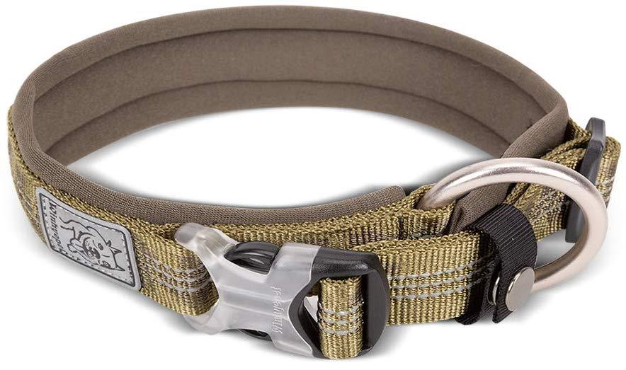 Chai's Choice Best Neoprene Padded 3M Reflective Dog Collar - Chai's Choice