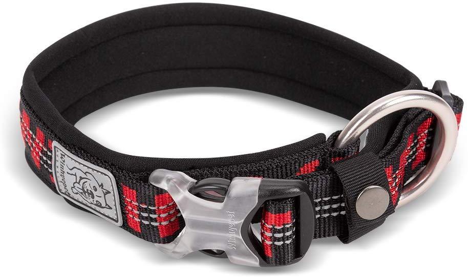 Chai's Choice Best Neoprene Padded 3M Reflective Dog Collar - Chai's Choice