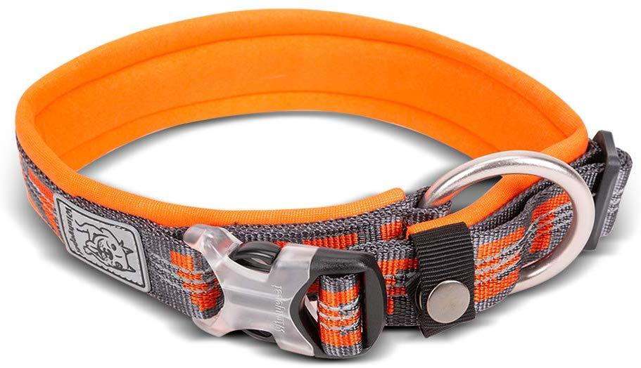Chai's Choice Best Neoprene Padded 3M Reflective Dog Collar - Chai's Choice