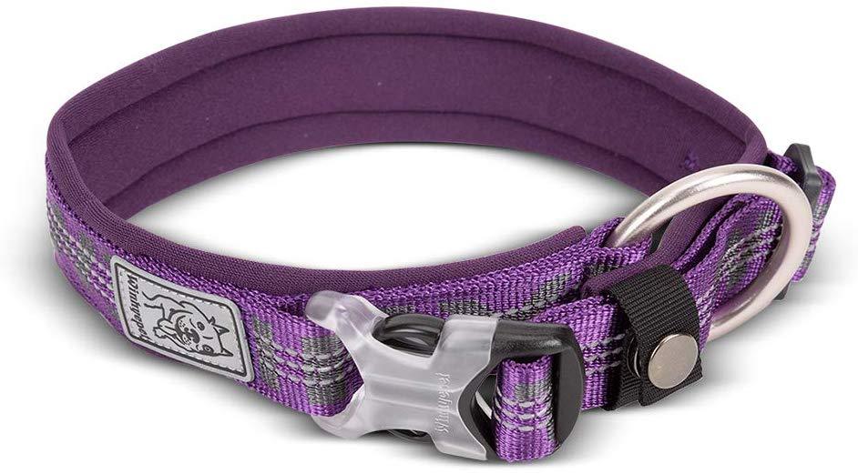 Chai's Choice Best Neoprene Padded 3M Reflective Dog Collar - Chai's Choice