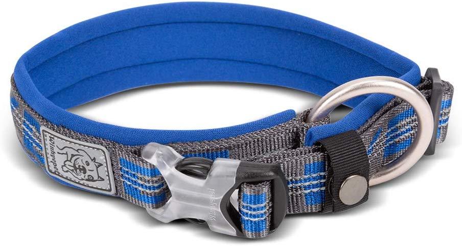 Chai's Choice Best Neoprene Padded 3M Reflective Dog Collar - Chai's Choice