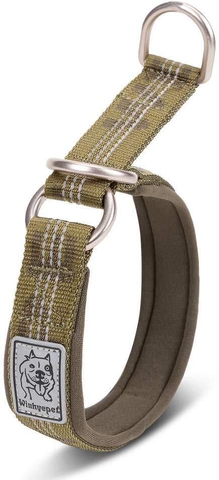 Chai's Choice Best Neoprene Padded Half Choke Training Collar - Chai's Choice