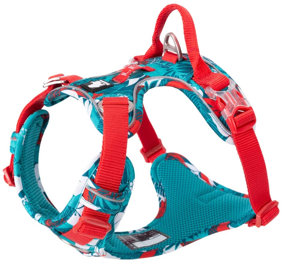 Chai's Choice Best Tropic Thunder Edition Dog Harness with Quick-Release Neck Strap for Easy On-Off - Chai's Choice