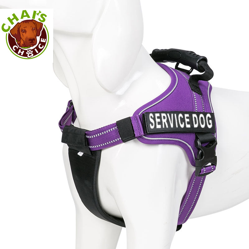 Purple-Service-Dog-Vest-Harness 2