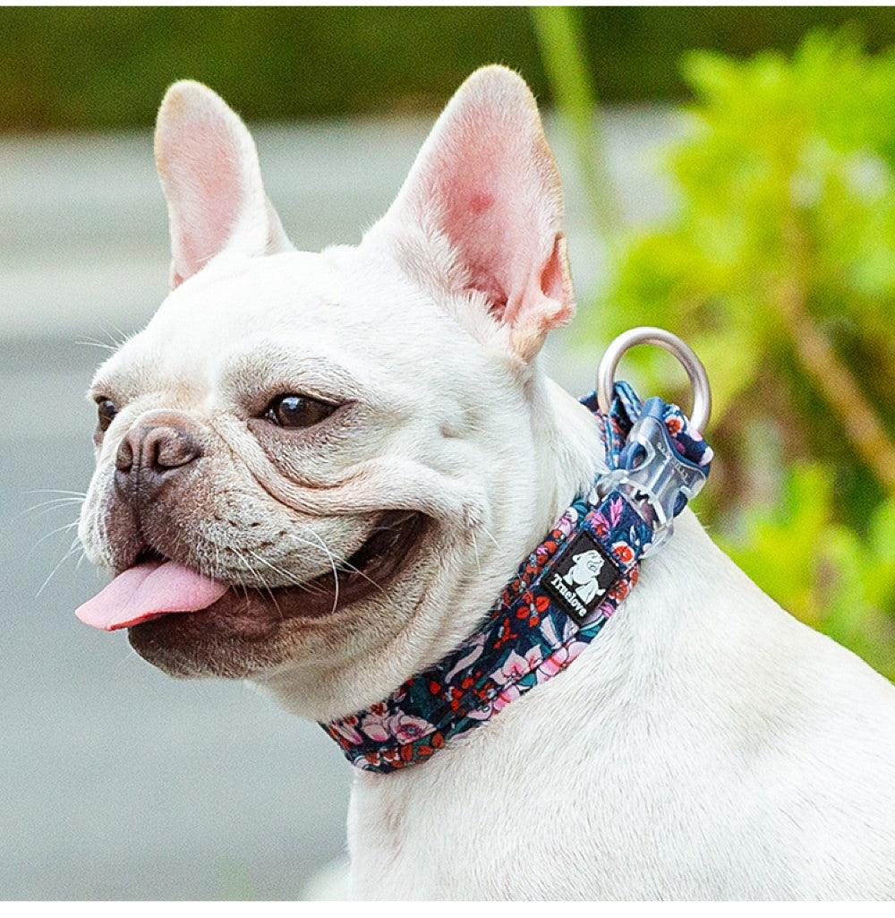 Chai's Choice - Premium Dog Collar Floral
