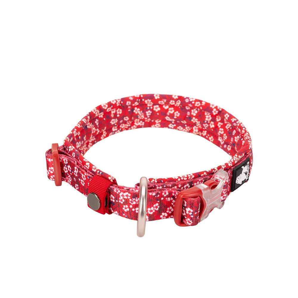 Chai's Choice - Premium Dog Collar Floral