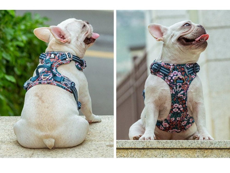 Chai's Choice Floral Edition Dog Harness