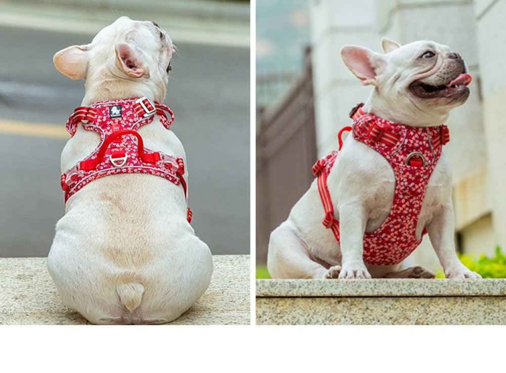 Chai's Choice Floral Edition Dog Harness