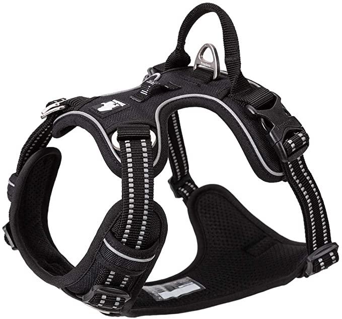 Chai's Choice Best Dog Harness - New Version with Quick Release Neck Buckle - Chai's Choice