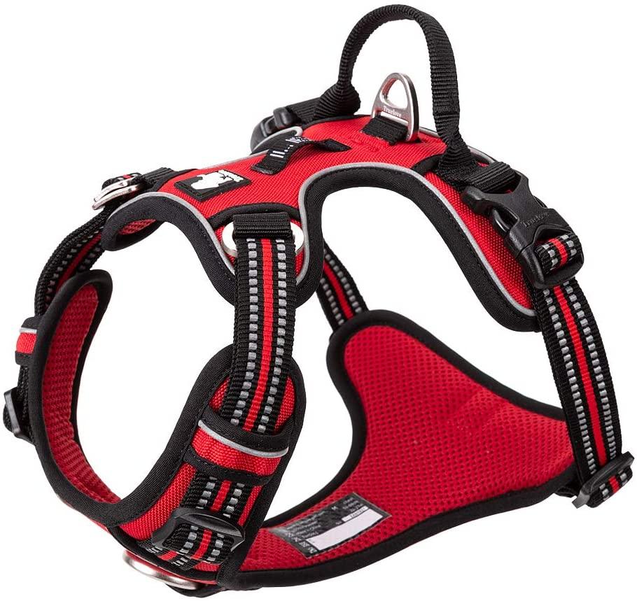Chai's Choice Best Dog Harness - New Version with Quick Release Neck Buckle - Chai's Choice