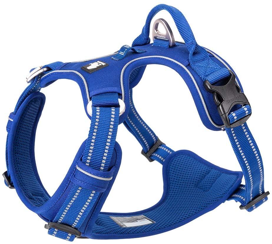 Chai's Choice Best Dog Harness - New Version with Quick Release Neck Buckle - Chai's Choice